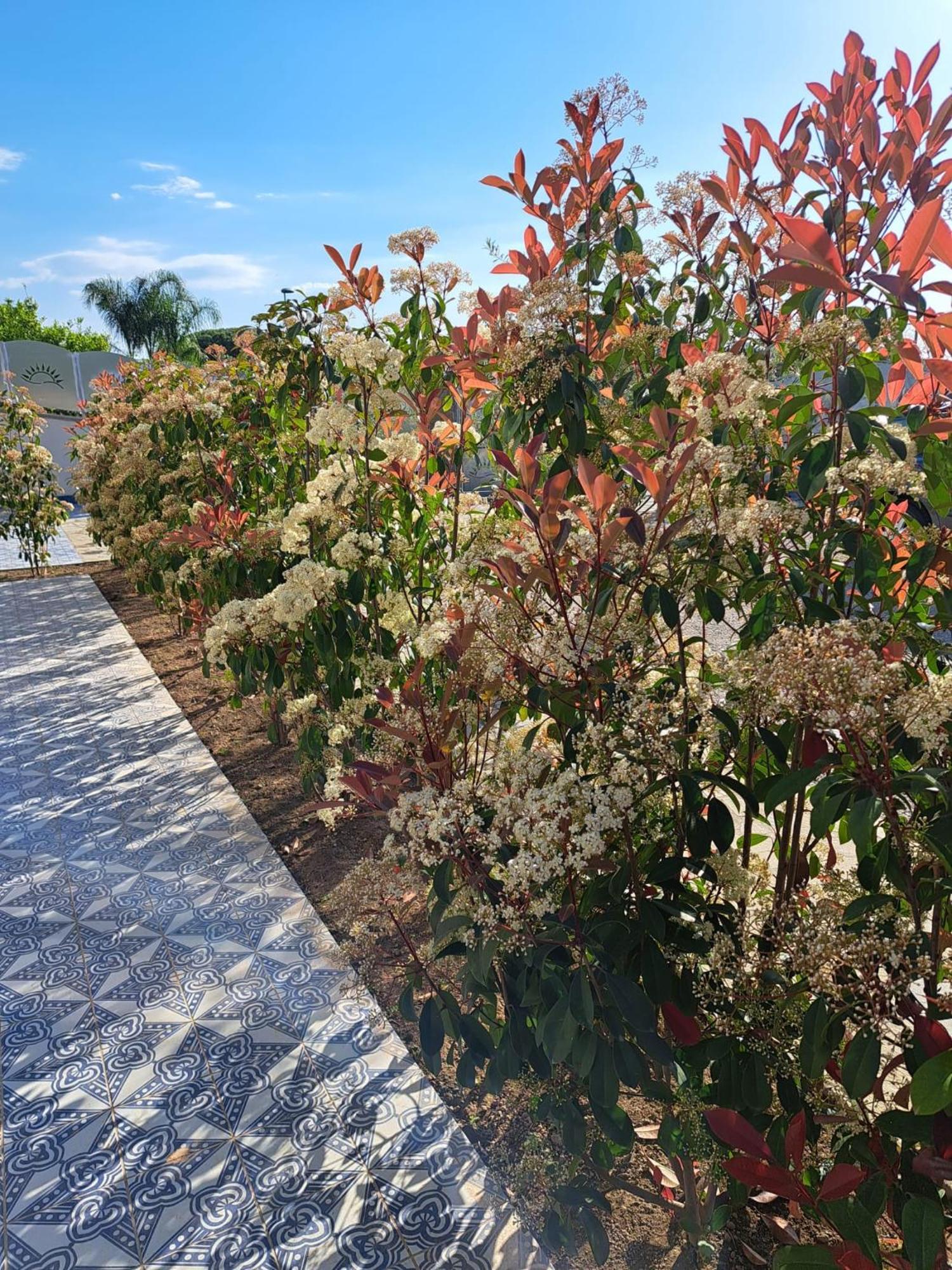 Bed and Breakfast Paoma Agropoli Zewnętrze zdjęcie